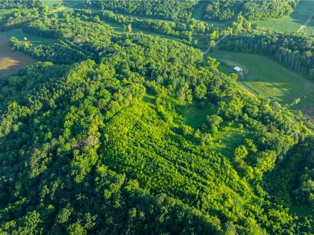 Mondovi Land Real Estate