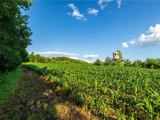 Mondovi Land Real Estate