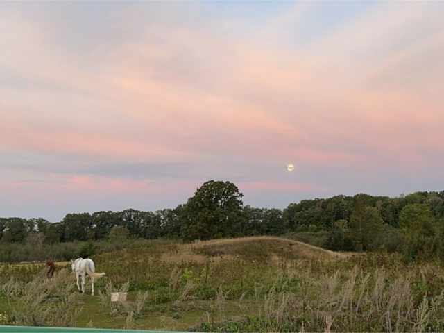 Rice Lake Residential Real Estate