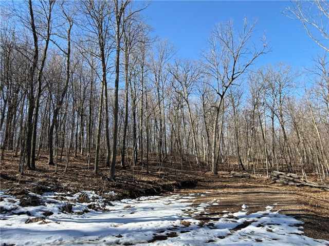 Birchwood Land Real Estate