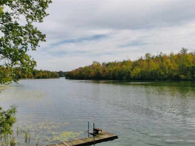 Sarona Residential Real Estate