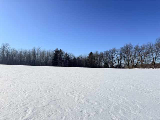 Rice Lake Land Real Estate