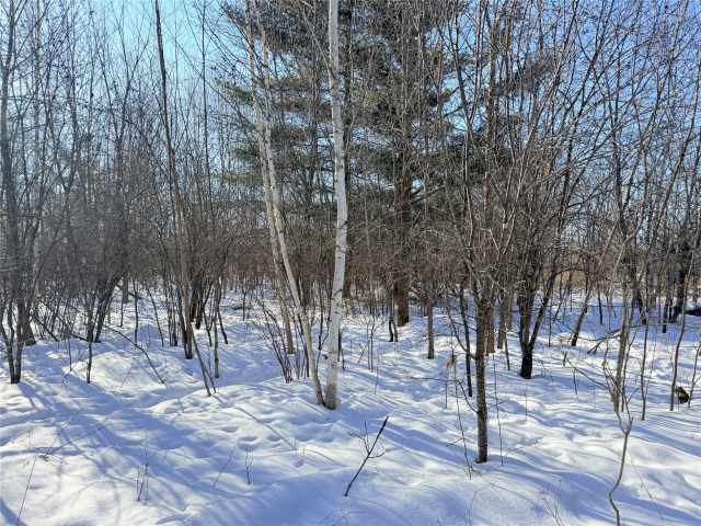 Rice Lake Land Real Estate