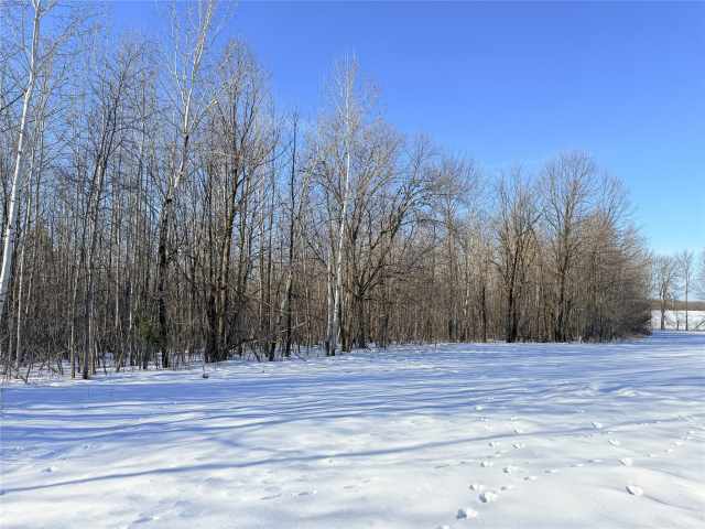 Rice Lake Land Real Estate