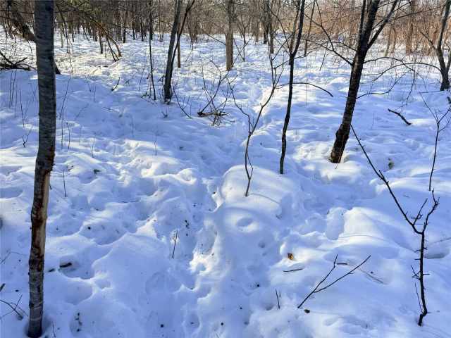 Rice Lake Land Real Estate