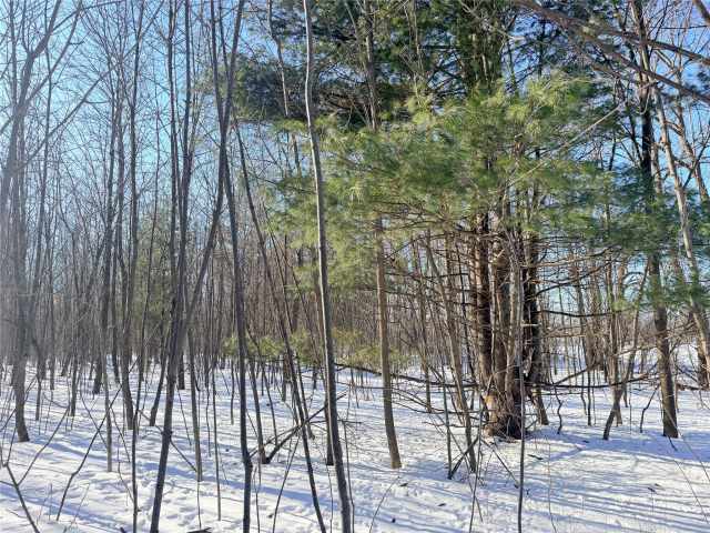 Rice Lake Land Real Estate