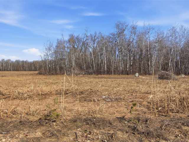 Hayward Residential Real Estate