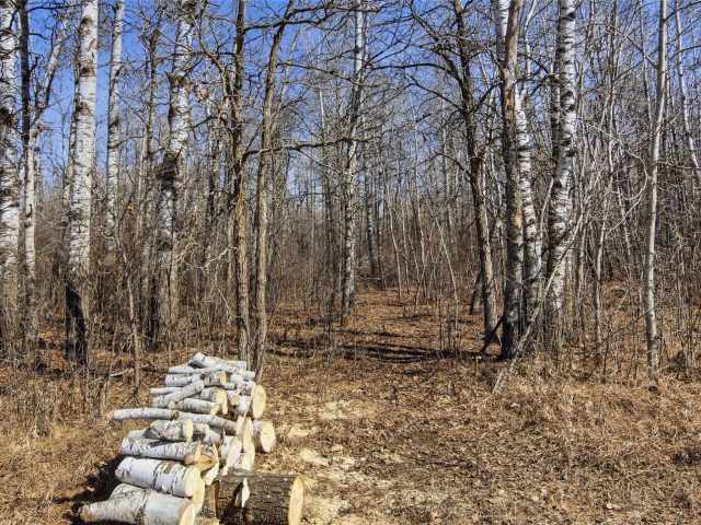 Hayward Residential Real Estate