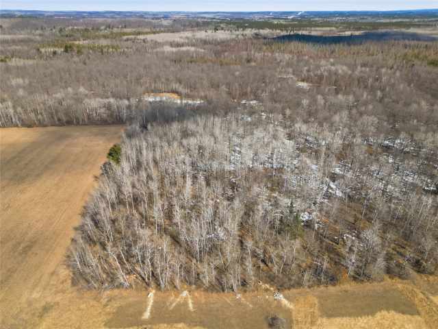 Hayward Residential Real Estate