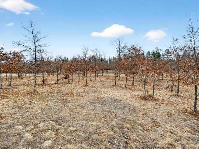 Gordon Residential Real Estate