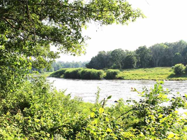 Neillsville Residential Real Estate