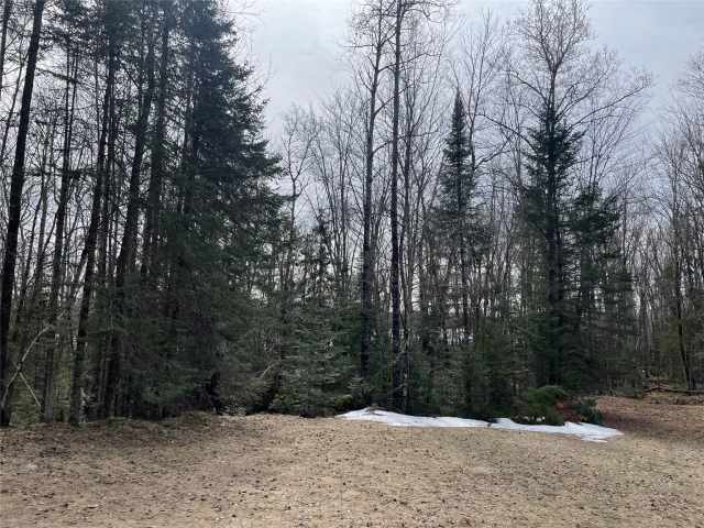 Winter Residential Real Estate