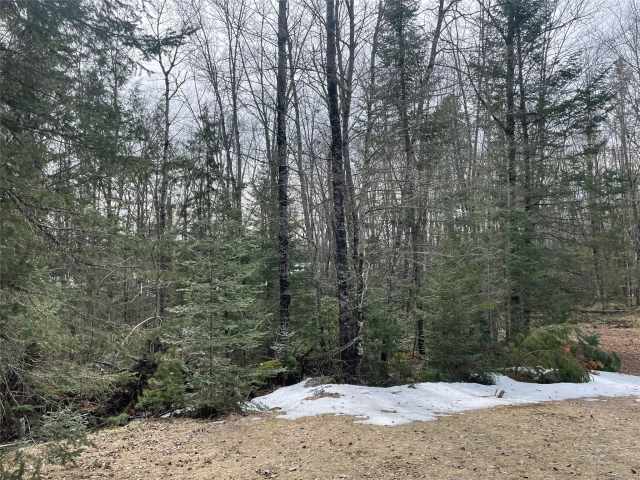 Winter Residential Real Estate