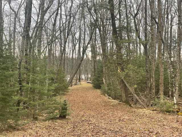 Winter Residential Real Estate