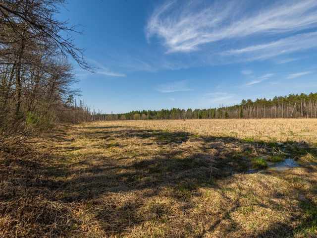 Osseo Land Real Estate