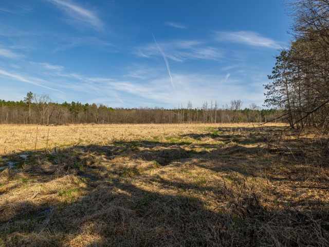 Osseo Land Real Estate