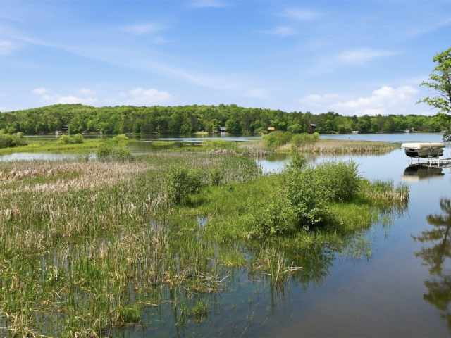 Trego Residential Real Estate