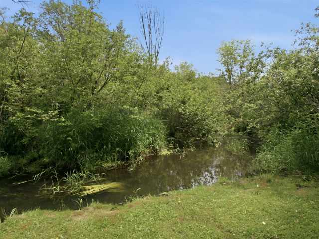 Eleva Residential Real Estate