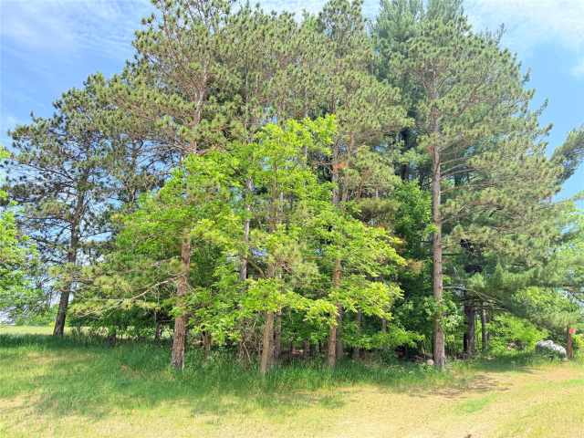 Boyceville Residential Real Estate