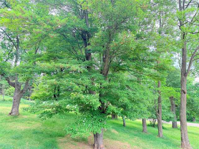 Boyceville Residential Real Estate