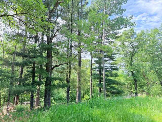 Boyceville Residential Real Estate