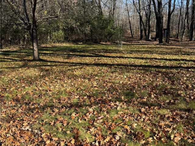 Stone Lake Land Real Estate