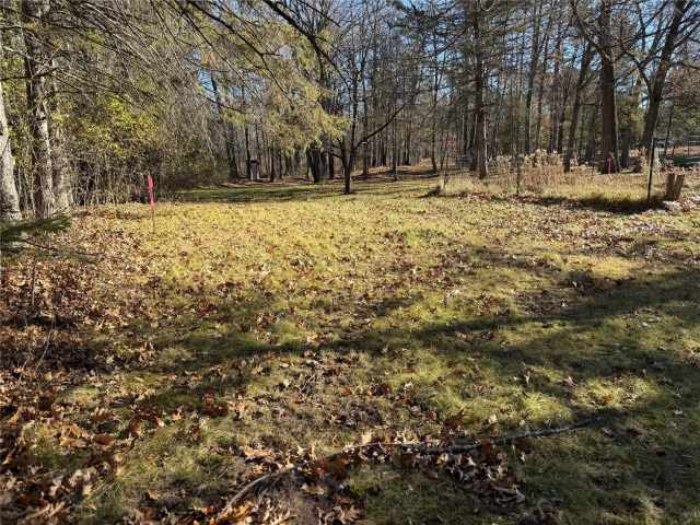 Stone Lake Land Real Estate