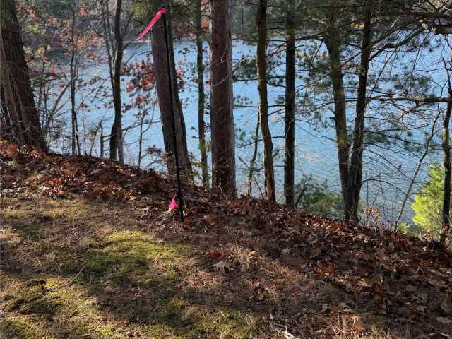 Stone Lake Land Real Estate