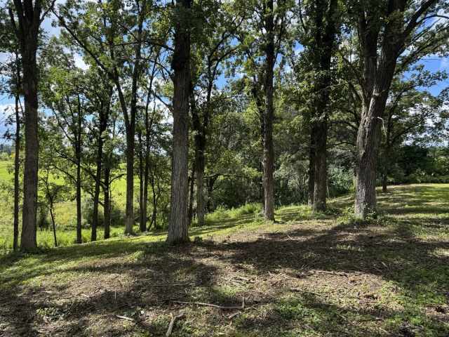 Rice Lake Land Real Estate