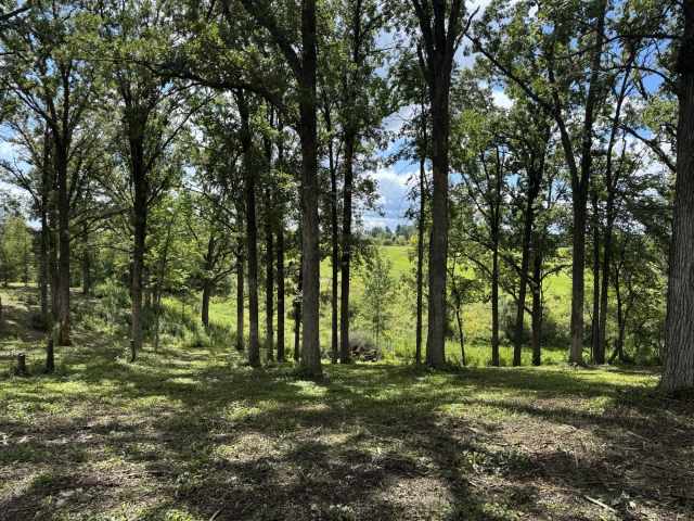 Rice Lake Land Real Estate