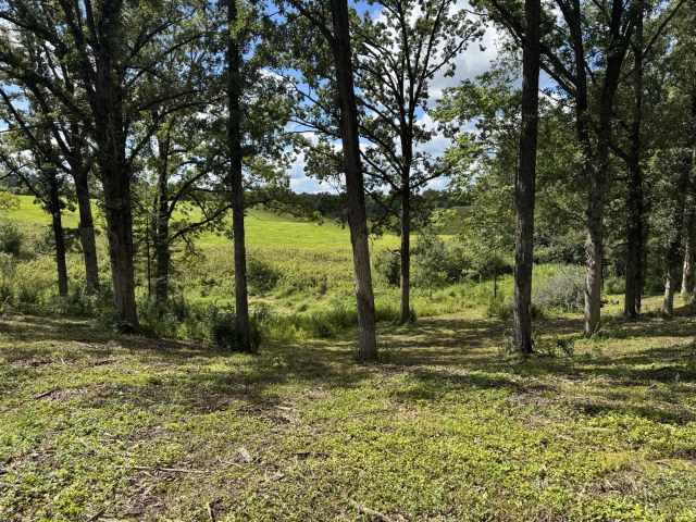 Rice Lake Land Real Estate