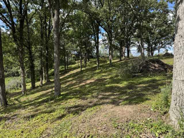 Rice Lake Land Real Estate