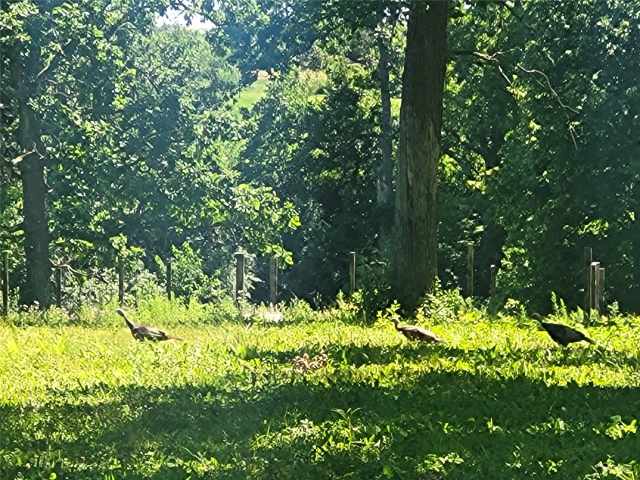 Rice Lake Land Real Estate