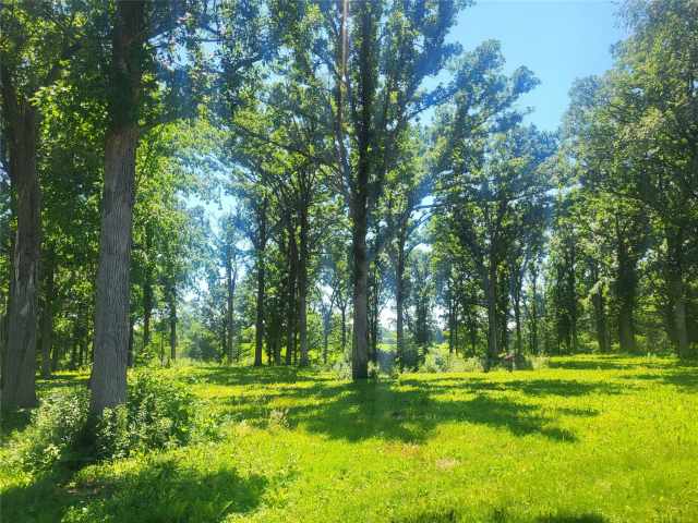 Rice Lake Land Real Estate