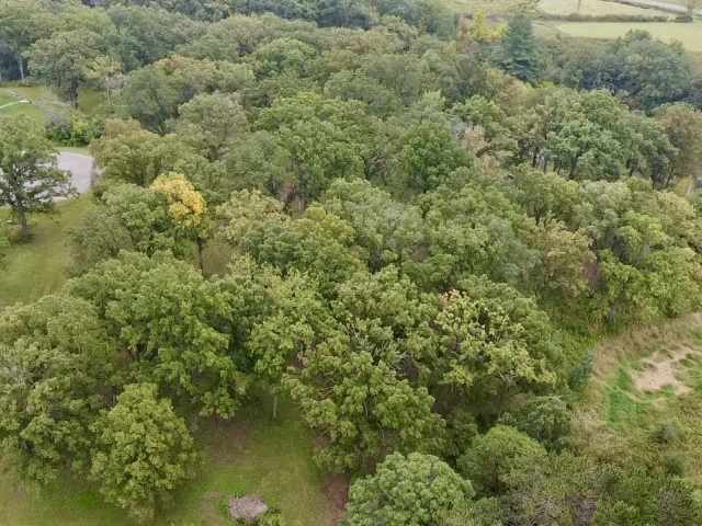 Rice Lake Land Real Estate