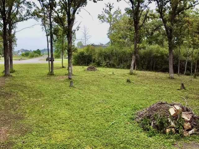 Rice Lake Land Real Estate
