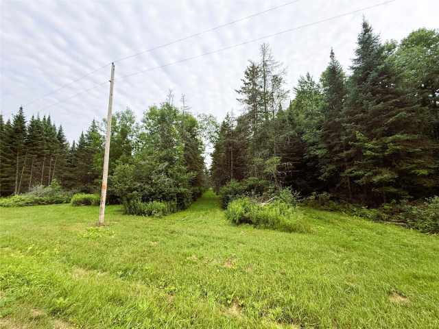 Ladysmith Residential Real Estate