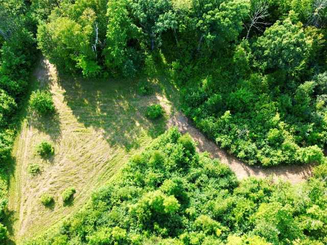Chetek Land Real Estate