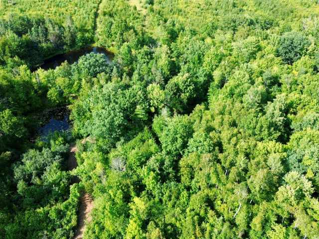 Chetek Land Real Estate