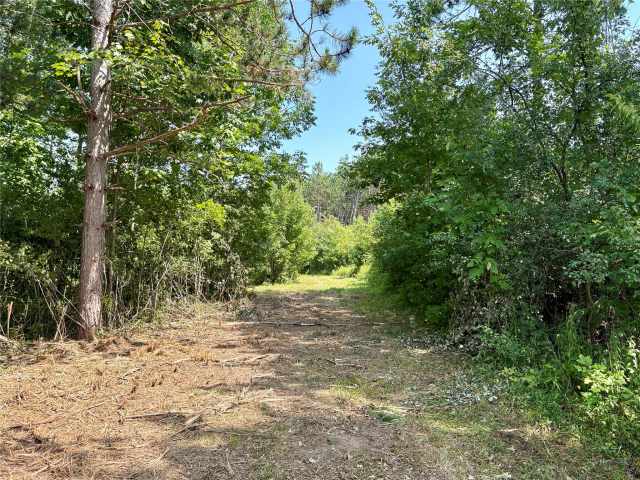 Chetek Land Real Estate