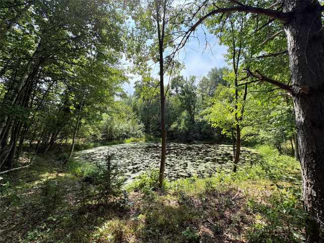 Chetek Land Real Estate
