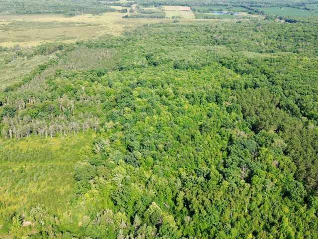 Chetek Land Real Estate