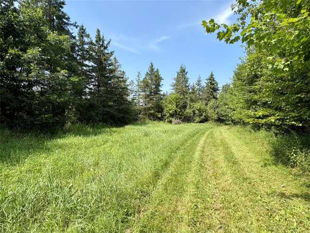 Chetek Land Real Estate