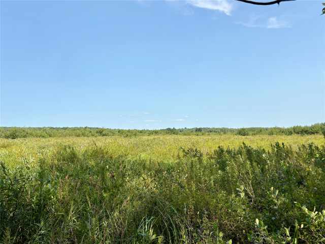 Chetek Land Real Estate