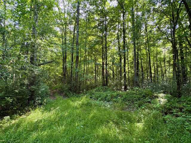 Chetek Land Real Estate