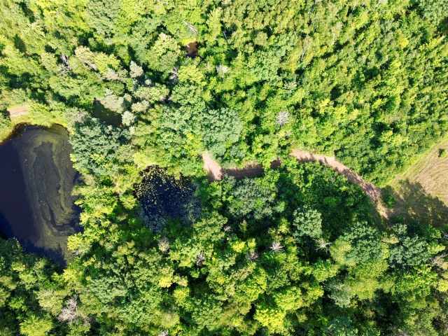 Chetek Land Real Estate