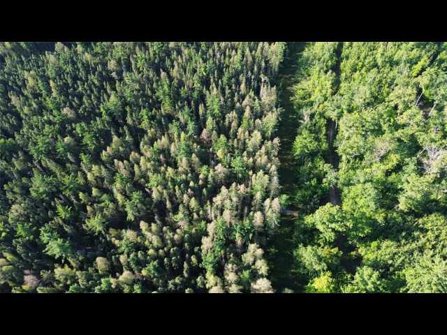 Stone Lake Land Real Estate