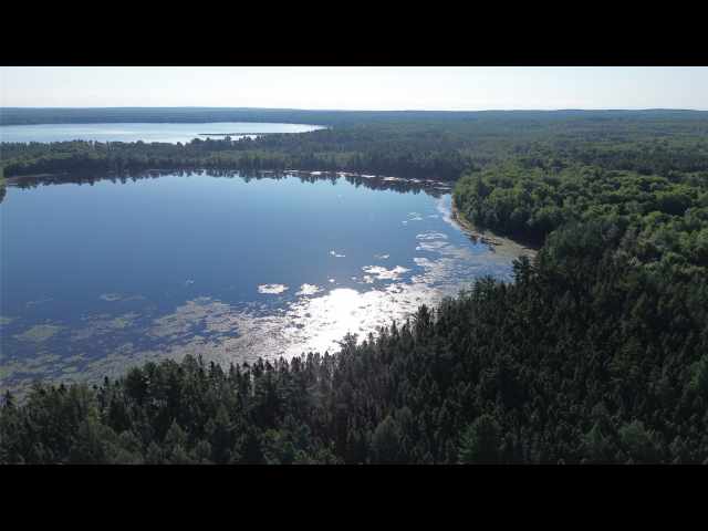 Stone Lake Land Real Estate