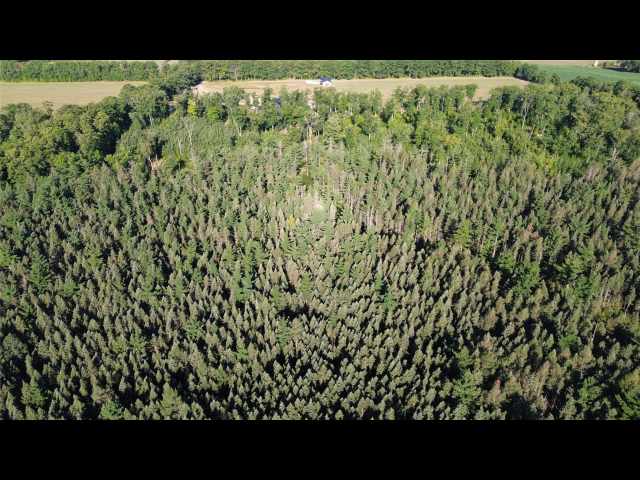 Stone Lake Land Real Estate