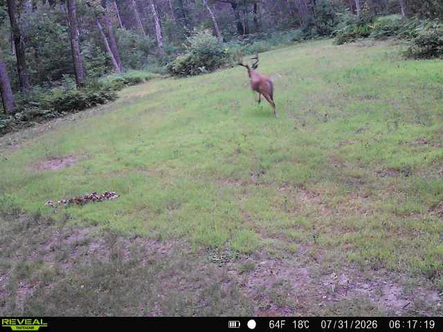 Stone Lake Land Real Estate